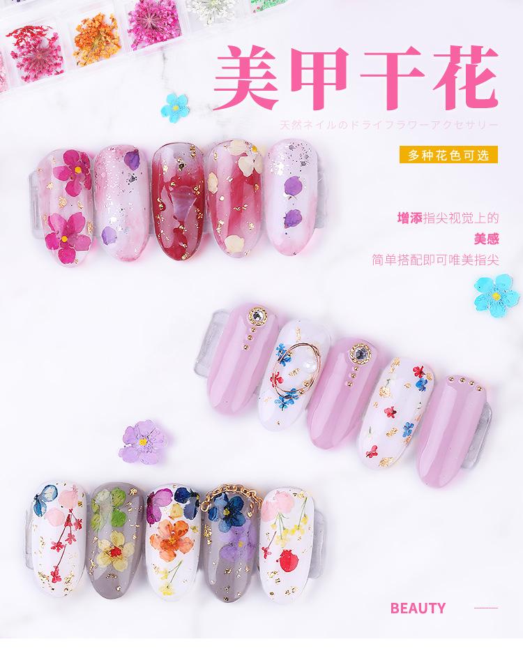 美甲干花 蕾丝干花 水仙花