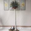 Árbol de Orquídea de Seda Artificial en Maceta Estilo Nórdico Hierro Holandés Árbol Falso Solanum Nigrum Árbol de Sangre de Dragón de Varilla Multi-artificial Árbol Decorativo de Piso en Maceta
