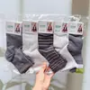 Meias Femininas Novas para Outono e Inverno, Meias para Estudantes de Canoa Média, Meias Esportivas Femininas Estilo Coreano de Canoa Média, Meias Esportivas de Algodão Fofas e Versáteis