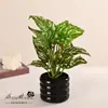Flores Artificiais, Plantas Verdes Artificiais, Plantas em Vasos, Bonsai Simulados, Sala de Estar, Decorações de Quarto, Mesa, Mesa de Escritório, Decorações Florais para Casa