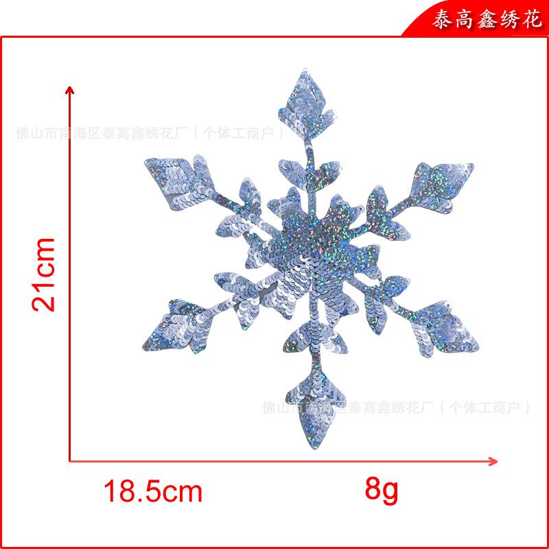 大雪花.png