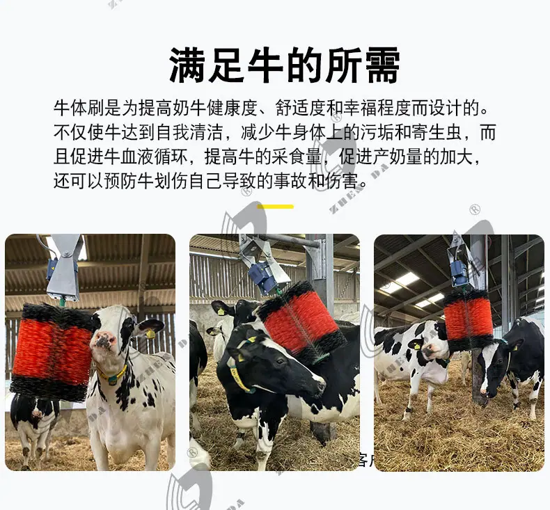 牛体刷_02