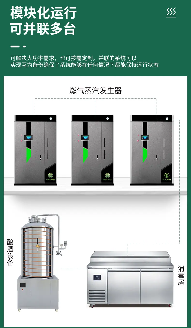 燃气蒸汽发生器_13.jpg
