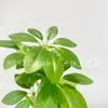Planta Verde Artificial Pata de Pato Estilo Bosque Madera Blanco y Verde Fresco Decoración del Hogar Salón de Bodas Fotografía Venta al por Mayor Transfronterizo