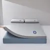 Colchão de Espuma de Memória de Rebote Lento Zero Pressão Hotel Cinco Estrelas Classe A Tapete Macio para Mãe e Bebê Quarto de Estadia em Casa Tapete de Tatami