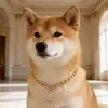 Novos Acessórios para Pets da Amazon, Coleiras para Gatos, Coleiras para Cachorros, Acessórios para Pets, Colares Dourados, Suprimentos para Pets no Atacado