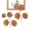 Hoja de Eucalipto Nueva Hoja de Corazón Hogar Escandinavo Arreglo Floral Decoración Planta Verde Artificial Ins Boda Planta Verde Bosque