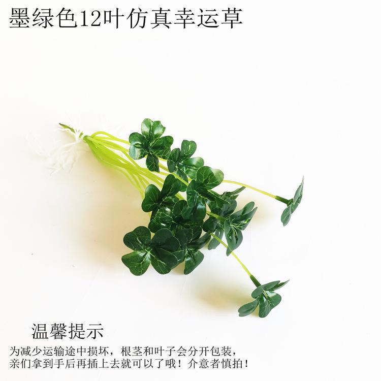 【墨绿色12叶仿真幸运草】.jpg
