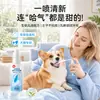Spray Bucal para Mascotas para Perros para Eliminar el Mal Aliento, Refrescando el Aliento para Perros y Gatos Pequeños y Medianos, Spray de Cuidado de la Salud para Mascotas