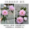 2025 Nuevo Fabricante de Peonías Rosas Artificiales Flor de Peonía Rosa Rosa Rocío Loto Guía de Camino de Boda Flor Artificial Al por Mayor