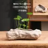 Pedra artificial não porosa cobre capim-dinheiro tamanho especial vaso de cerâmica para flores vaso para bonsai doméstico narciso recipiente para cultura em água liquidação atacado