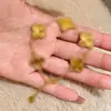 Pulsera de Diamantes Micro-incrustados de Lujo Ligero y Sensación de Alta Gama para Mujer, Pulsera Sencilla de Moda de Acero de Titanio que no se Decolora, para Pareja, Combinable con Todo, Primera Joya