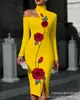 Transfronterizo Nuevo Estampado Digital Casual Personalidad Moda Temperamento Vestido de Manga Larga Hombros Descubiertos Falda Primavera y Otoño Mujer