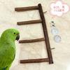 Palo de pie para periquitos pequeños y medianos, soporte de madera maciza, barra de pie, escalera fija para pájaros, suministros para afilar garras, escalera de juguete para periquitos
