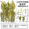 Espécimes de Plantas com Folhas Reais de Outono, Adesivos Artesanais, Flores Secas, Flores Prensadas, Pinturas Decorativas de Folhas DIY, Marcadores de Página de Plantas