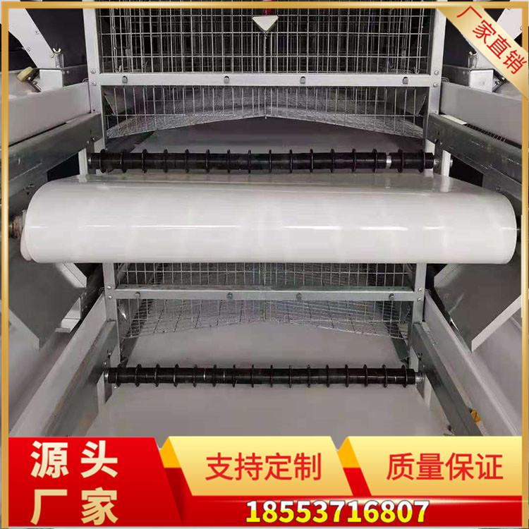 粪带19