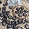 Caja Mágica de Zorro de Concha Negra Natural Accesorios para Caja Venta al por Mayor