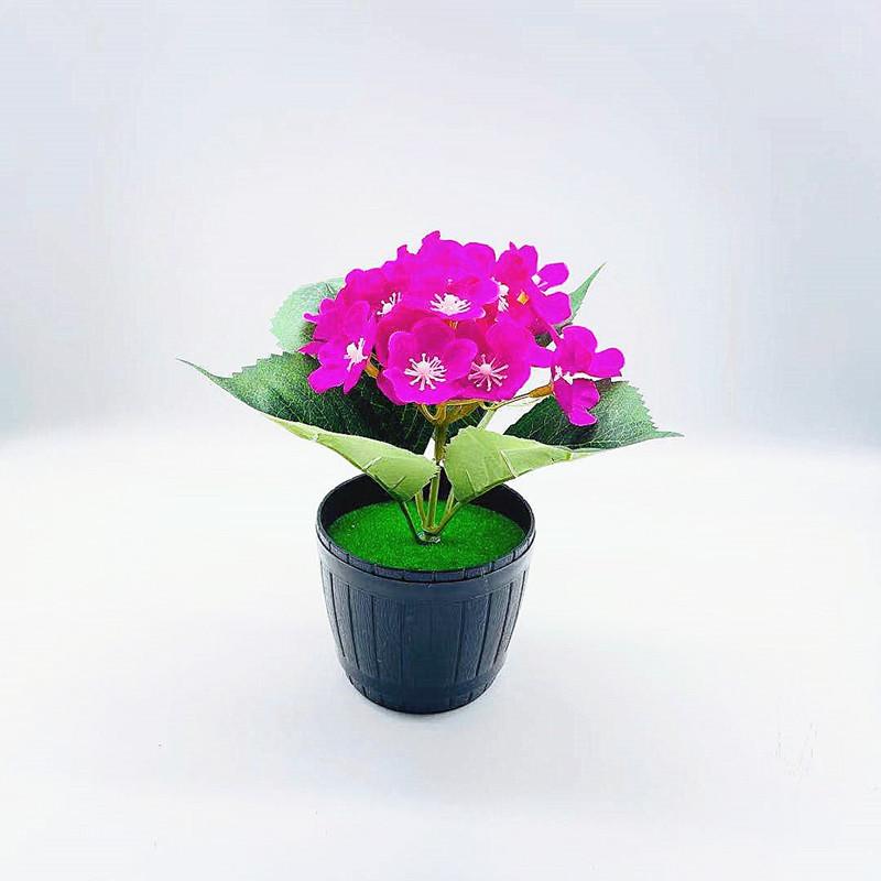 微信图片_20211001170505_副本