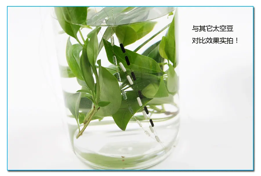 313散装斑点01_16.gif