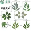 Proyecto de Verdeo con Hojas de Higuera Simuladas DIY Hojas Artificiales Falsas Flor Hecha a Mano Accesorios de Hoja de Rosa Hojas de Magnolia Venta al por Mayor
