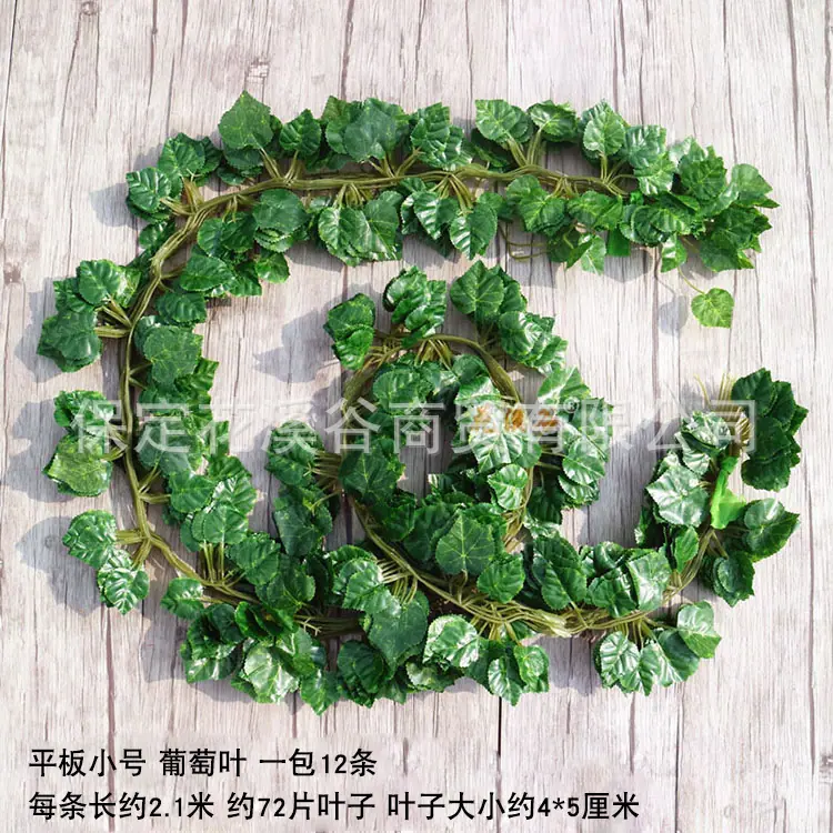 平板小号葡萄叶.jpg