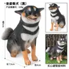 Modelos de Animales Realistas: Doberman, Golden Retriever, Perro de Peluche, Husky, Collie - Adornos para Coche y Juguetes para Niños