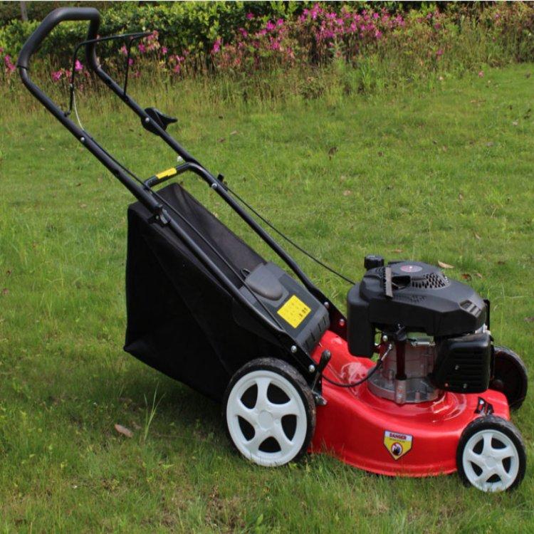 一键复制_20230724140820