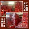 Coplas de Papel Xuan Rojo Wannian Engrosado Manuscritas en Blanco Papel para Coplas Doradas de Festival de Primavera Siete Palabras Longfeng Wadang Coplas de Caligrafía Venta al Mayoreo