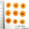 Pegatinas Faciales de Flores Secas y Prensadas, Arte de Flores Prensadas, Especímenes Vegetales, Funda para Teléfono de Resina Hecha a Mano para DIY