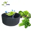 Crecimiento de Plantas con Tela de Fieltro Maceta de Jardín Bolsa de Cultivo Auto-Riego