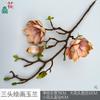 Pintura de Magnólia com Três Cabeças Phalaenopsis com Três Cabeças Decoração de Paisagem Interna para Casa Flor Artificial Layout de Fundo Externo Flor de Seda