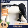 Roupas para Pets, Equipamento de Proteção para Cães, Cinto Auxiliar para Lesão na Pata Dianteira de Cães, Calças Leggings para Cães, Cinto de Reabilitação de Pata, Proteção para Articulação da Pata