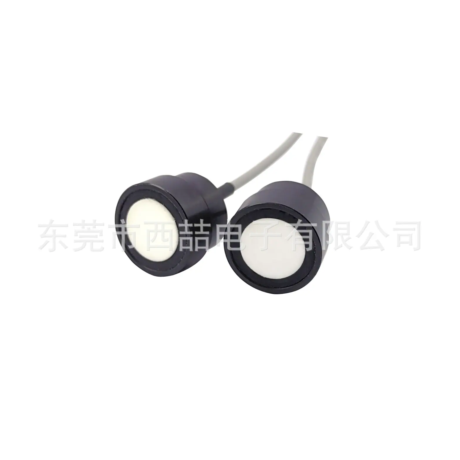 微信图片_202408301002061副本 副本副本