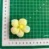 Acessórios de Flor de Tecido Coloridos Candy Grampo de Cabelo Broche DIY Feito à Mão Acessórios de Joia Florzinha Fofa Estéreo Acolchoada