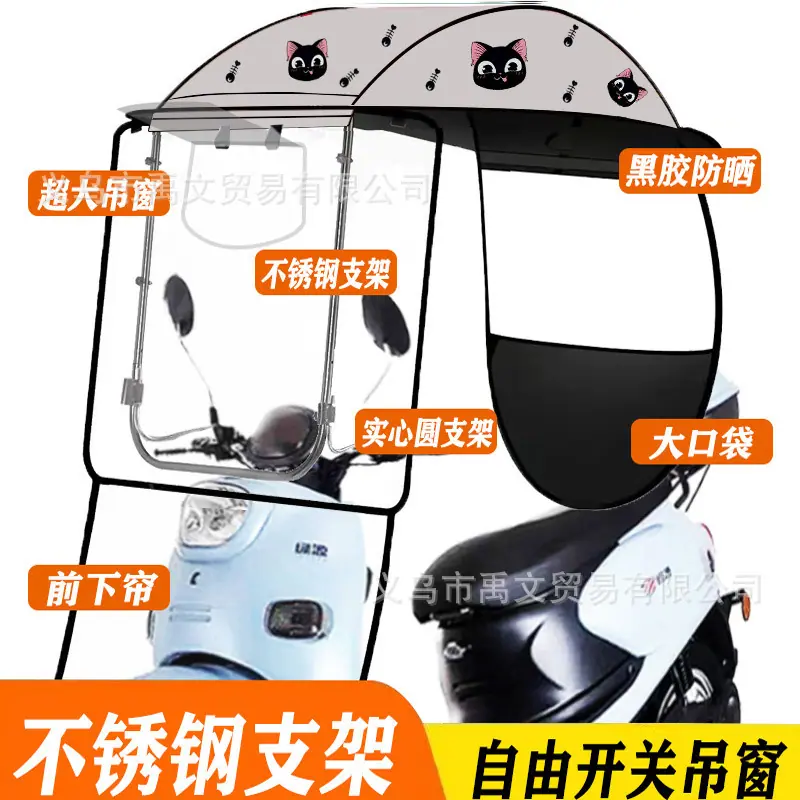 银灰小猫.jpg