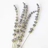 Flores Secas Hechas a Mano Material para Manualidades Rodajas de Limón Canela Rosa Ciruela Roja Jazmín Piña de Pino Velas Perfumadas Decoración