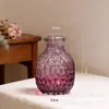 Vaso de Vidro Sódio-Cálcio Personalizado Transfronteiriço, Pote de Armazenamento, Estilo de Padrão em Malha de Luxo Leve, Decoração de Sala de Estar, Armazenamento de Vaso de Flores Estilo Europeu