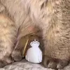 Caja de Almacenamiento Transparente para Pelo de Gato, a Prueba de Humedad y Llavero Colgante Conmemorativo para Almacenamiento de Pelo de Gato, Recolector de Pelo de Mascota