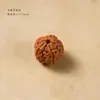 Contas de Semente de Rudraksha de Couro Integral Pequenas, Contas Soltas para Montagem, Contas de Semente de Rudraksha Escovadas à Máquina, Contas de Semente de Rudraksha Amarelo Gengibre em Vários Tamanhos