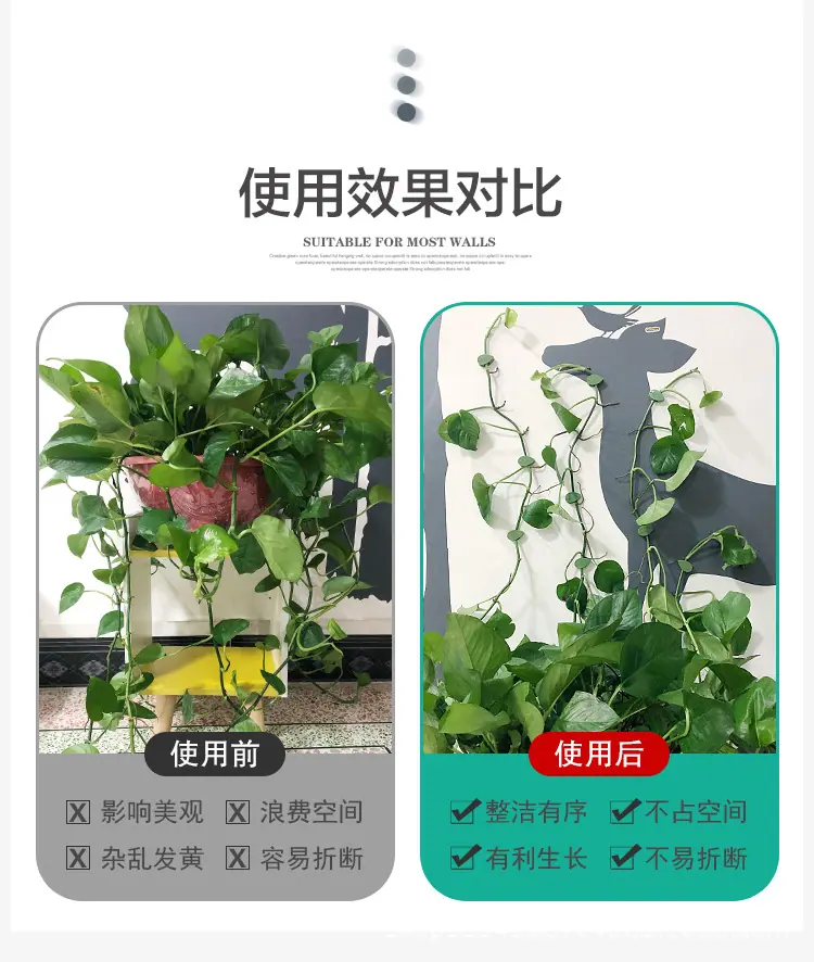 绿萝固定器1_04.jpg