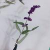 Lavanda Salvia Flor Seca Natural Estampada Jardín de Infancia DIY Hecho a Mano Marco de Fotos Marcapáginas Vela Aromática Bolsa de Flores Reales