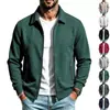 Europa Transfronteriza Otoño Nuevo Cuadros de Waffle Color Sólido Solapa Cremallera Manga Larga Chaqueta Hombres Moda Casual Ropa de Hombre Chaqueta