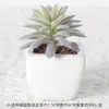 Suculentas Simuladas Personalizadas Cerámica Bonsái Plantas Verdes Escandinavas Adornos Hogar Interior Sala de Estar Flores Falsas Suculentas Plantas en Maceta