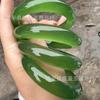 Gao Bing Material de Caballo Verde Ciruela Dopamina Ágata Calcedonia Pulsera Dai de Yuanshan Té Amargo Polvo de Toronja Ágata Pulsera de Jade