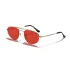 Gafas de Sol Metálicas de Doble Puente Estilo Europeo y Americano Raine para Hombres y Mujeres, Esencial Retro de Streetwear de Alta Gama, Gafas Aviador para Sombra al Aire Libre