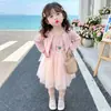 Vestido de Niña Otoño 2026 Nuevo Traje de Primavera y Otoño para Niños Manga Larga Rosa Pastel Dulce Falda de Princesa