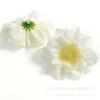 Cabezas de Flores de Peonía Artificiales, Flores Falsas Realistas de Alta Calidad para Decoraciones de Boda, Muros de Flores, Decoraciones de Coche de Boda, Accesorios de Fotografía, En Stock