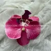 Cabeça de Flor Phalaenopsis Filme de Impressão de Flor Artificial Corsage de Flor 9cm Lembrança Caixa de Presente DIY Decoração de Casamento Exquisite