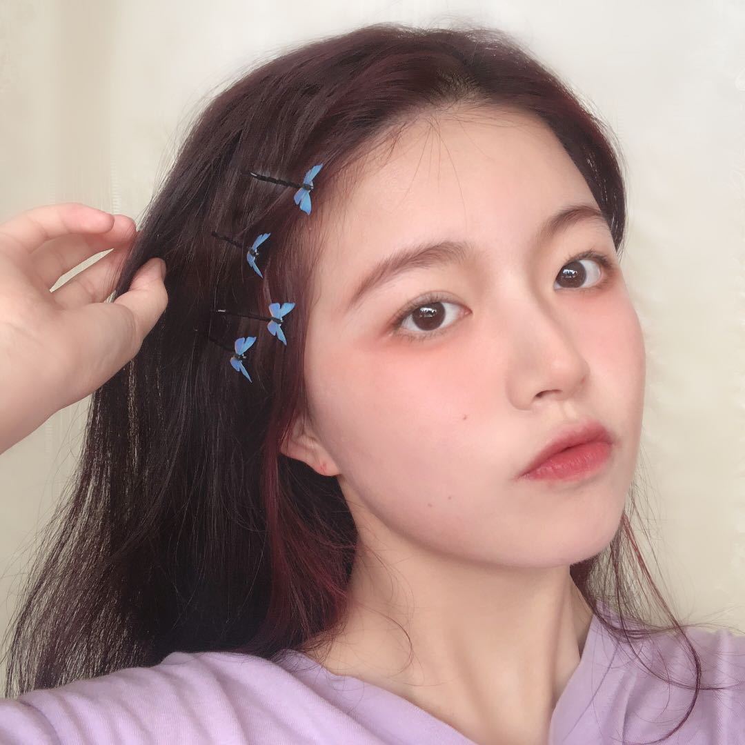 清新蓝色蝴蝶发夹