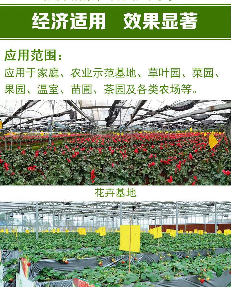 黄板详情图_04.jpg